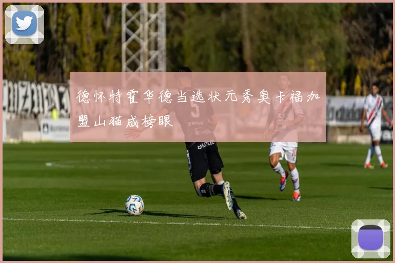 德怀特霍华德当选状元秀奥卡福加盟山猫成榜眼
