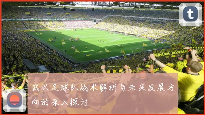 武汉足球队战术解析与未来发展方向的深入探讨