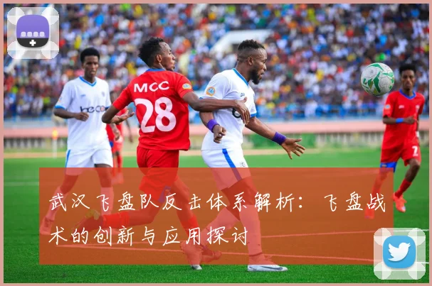 武汉飞盘队反击体系解析：飞盘战术的创新与应用探讨