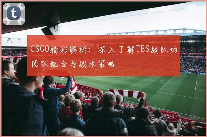 CSGO精彩解析：深入了解TES战队的团队配合与战术策略